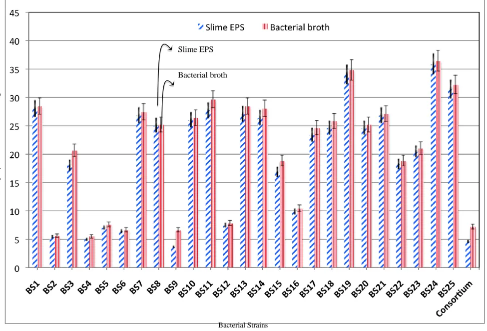 Figure 2: EPS concentrations produced by 25 bacterial strains and consortium at the end of 3 days of fermentation at initial pH 7.0