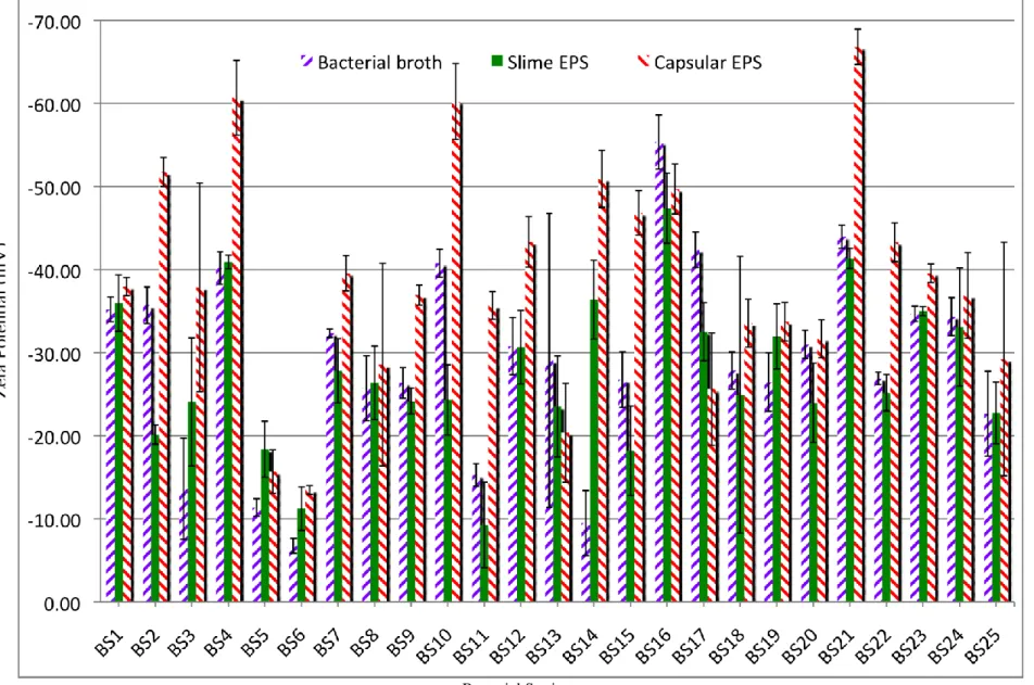 Figure 3: Zeta potential values of slime EPS, capsular EPS and bacterial broth produced by 25 bacterial strains at initial pH 7.0.