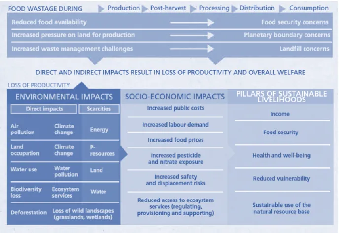 Figure 2.3 : Portrait des impacts du gaspillage alimentaire sur l’environnement et la société  (Tiré de FAO, 2014a, p