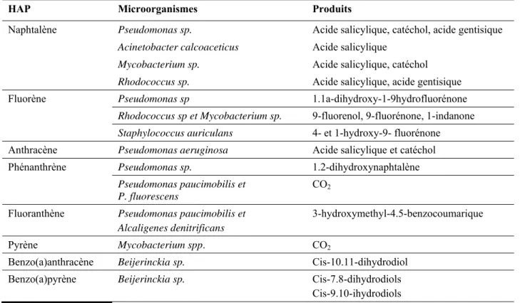 Tableau 1.7  Principales souches bactériennes aérobies participant à la dégradation des HAP (Bernal- (Bernal-Martinez, 2005) 