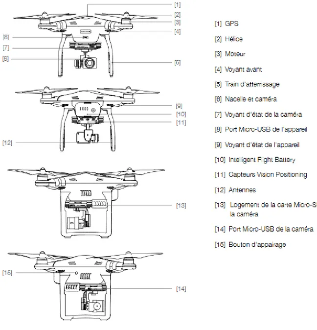 Figure 1- Schéma du drone DJI Phantom (source : DJI, 2016) 