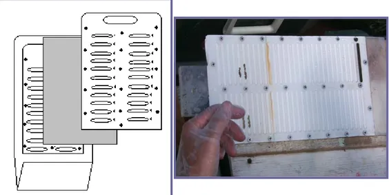 Figure 3. Représentation schématique (gauche) et photographie (droite) d’un échantillonneur  permettant de prélever les eaux interstitielles des sédiments par dialyse in situ