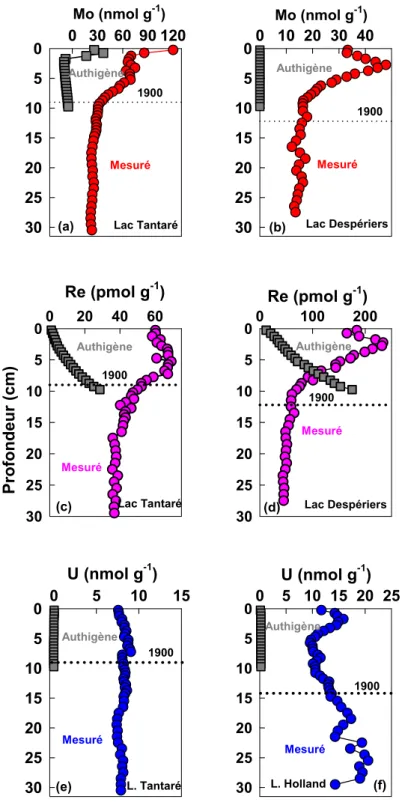 Figure 7 : Profils des teneurs en Mo total mesuré et en Mo authigène modélisé dans  les sédiments des lacs (a) Tantaré et (b) Despériers, du Re total mesuré et du Re  authigène modélisé dans les sédiments des lacs (c) Tantaré et (d) Despériers et de l’U  t