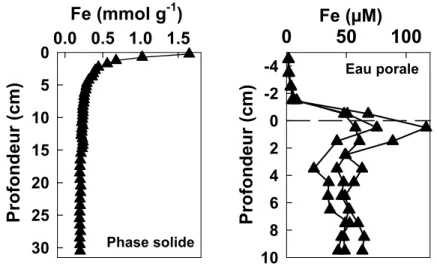 Figure 9 : Profil en fonction de la profondeur des concentrations en Fe dans la phase  solide et dans les eaux interstitielles des sédiments du lac Tantaré en septembre 2003
