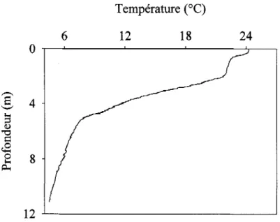 Figure 2.2:  Profil thermique  du  lac  du Cordon (été  2005) présentant une thermocline  diurne  et un  micro-épilimnion en surface