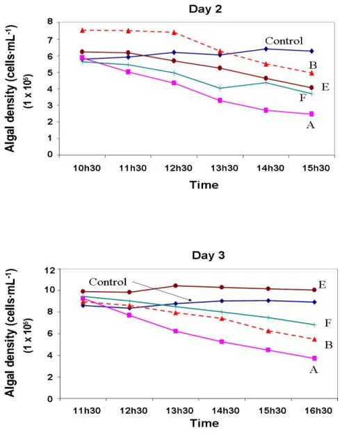 Figure 4.1:   Decreasing algal concentrations in feeding beaker (cellsmL -1 ), over  three consecutive days
