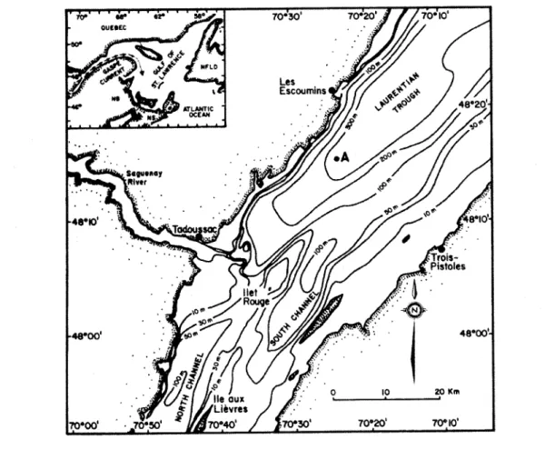 Figure 1.2: Carte détaillée de la tête du chenallaurentien. Figure tirée de Koutitonsky et Bugden  (1991)