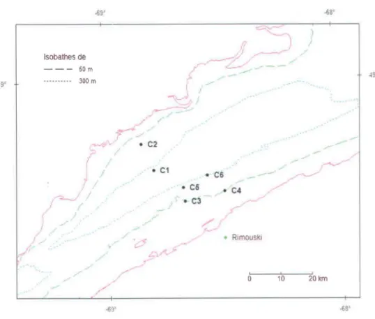 Figure 2.3: Répartition des mouillages dans l'estuaire en 1989. Figure tirée de Vinet (1998)