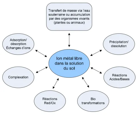 Figure 1. Principaux facteurs et réactions chimiques contrôlant la concentration et le  degré d’oxydation des ions libres métalliques dans la solution du sol (d’après Adriano et  al., 2004 ; MacLean et Bledsoe, 1992 ; Wang et Mulligan, 2004) 