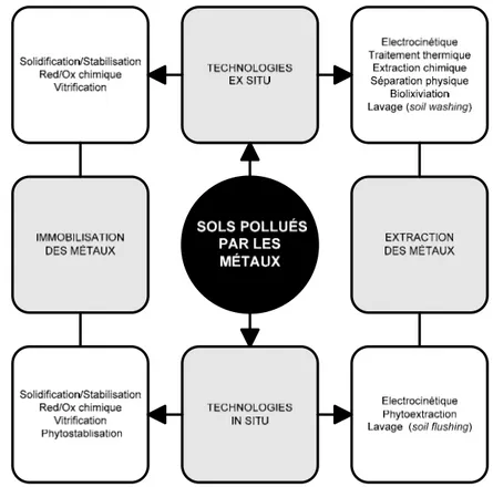 Figure 3. Schéma synthétique des technologies de traitement des sols pollués par les métaux 