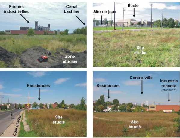 Figure 6. Photographies du terrain étudié et de son environnement (été 2005) 