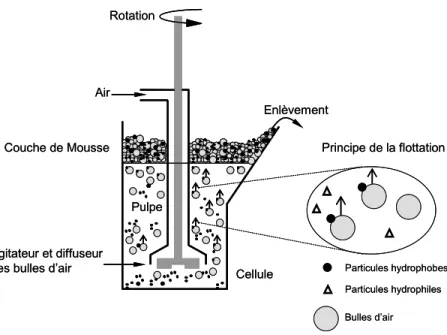 Figure 9. Schéma simplifié de la cellule de flottation de type Denver D1 et du principe de flottation 