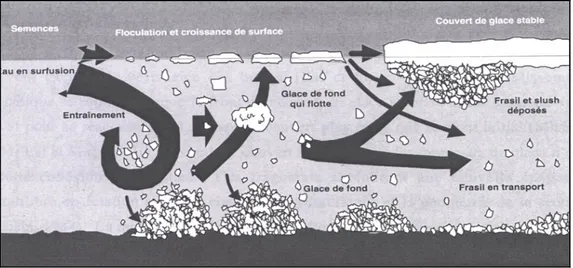 Figure 2.8 Formation d’un couvert de glace (Bisaillon, 2004). 