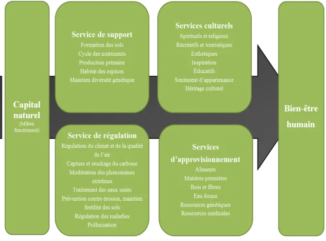 Figure 3.1 :  Évaluation économique des biens et services écologiques   (inspiré de Dupras, 2014, p