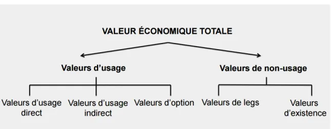 Figure 3.2 : La valeur économique totale (tiré de Girard, 2013, p. 7)  Valeur d’usage  