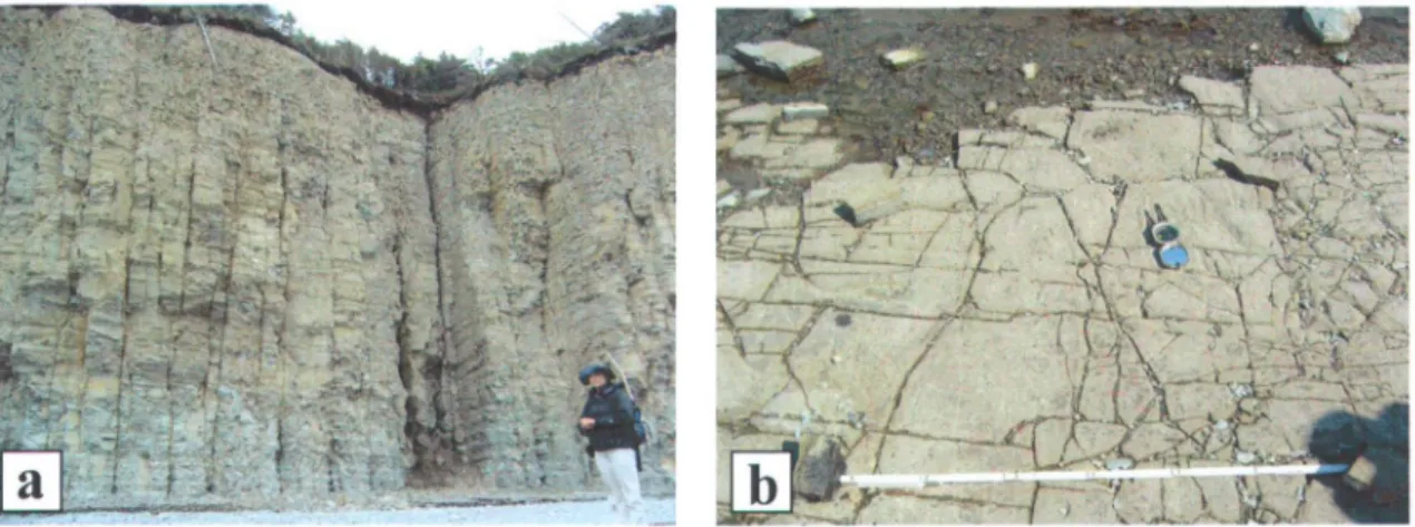 Figure  1.2  :  Systèmes  de  fractures  dans  des  calcaires.  (a)  Vue  en  coupe  (Formation  de  Jupiter, Jupiter la Mer, Île d'Anticosti);  (b)  Vue  en  plan  (Formation  Vauréal, Baie  Sainte-Claire, Île d'Anticosti) 