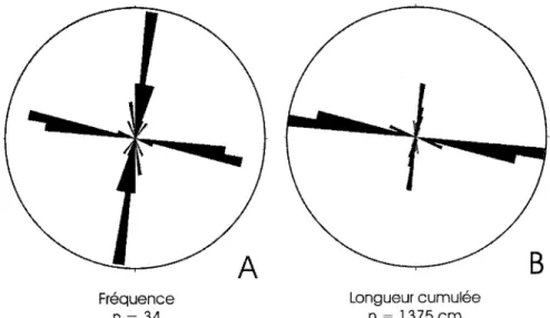 Figure  1.4:  Exemples  de  rosaces  de  fréquence  et  de  longueur  cumulée  d'un  relevé  par  inventaire,  Rivière  Becscie  (affleurement  06-EB-056)