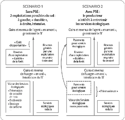 Figure  2.4  Schéma  théorique  du  paiement  pour  les  services  environnementaux  (tiré  de  Laurans et autres, 2011) 