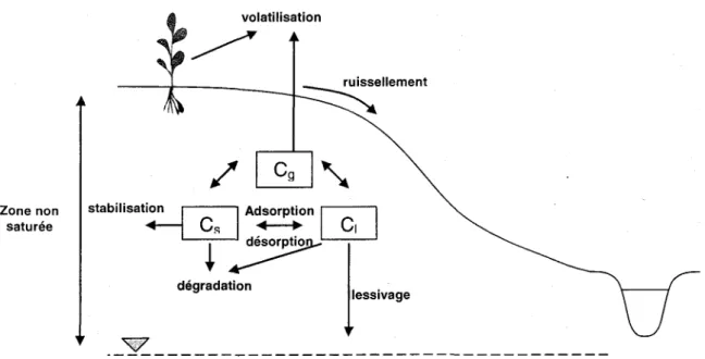 Figure l-1.  Processus  intervenant  dans le devenir  des  pesticides  après l'application sur le sol.