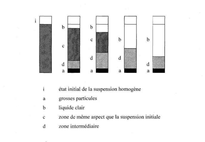 Figure 3 : Évolution de l'aspect d'une suspension en sédimentation dans une éprouvette  (Svarovsky, 1990)