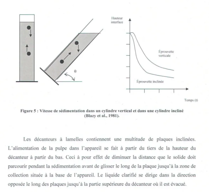 Figure 5 : Vitesse de sédimentation dans un  cylindre vertical et dans une cylindre incliné  (Blazy et aL,  1981)