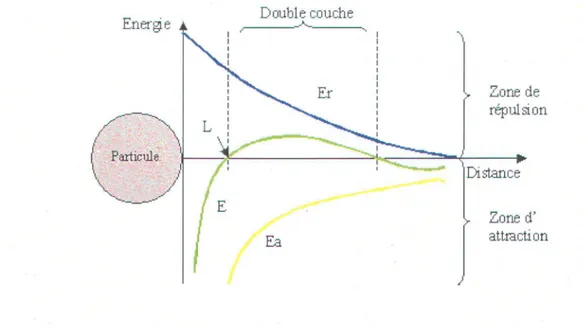 Figure 9:  Variation du  potentiel de  répulsion en  fonction  de  la distance qui sépare deux  particules  (Zeta-Meter [ne., 2004)