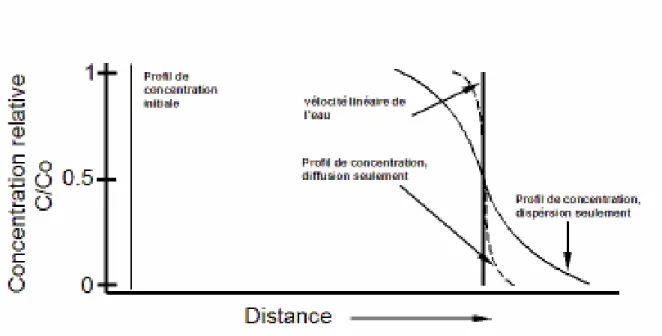 Figure 5. Contributions de dispersion et diffusion à la concentration de soluté 