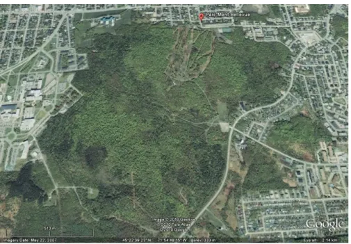 Figure 2.2  Image satellite du Parc du Mont-Bellevue. Tirée de Google Maps, 2010. 