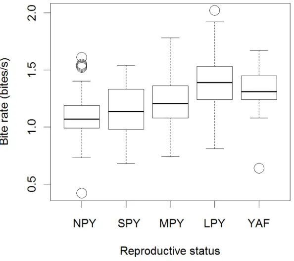 Figure 1 Bite rate as a function of reproductive status for 59 female eastern grey kangaroos  during 427 observations at Wilsons Promontory, Victoria, 2010-2011