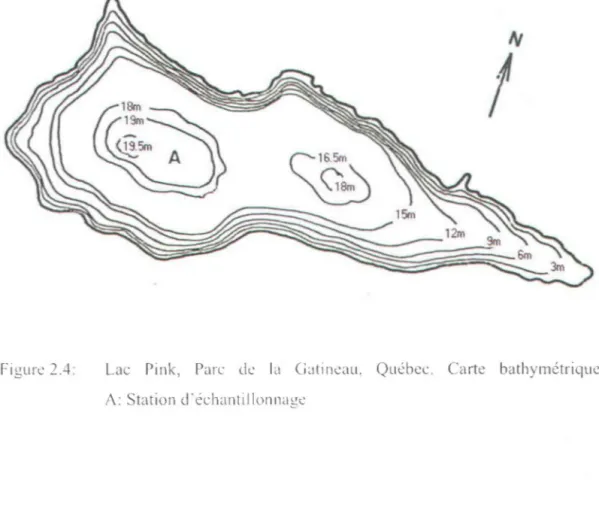Figure  2.4 :  Lac  Pink,  Parc  de  la  Catineélu,  Québec .  Carte  bathymétrique. 