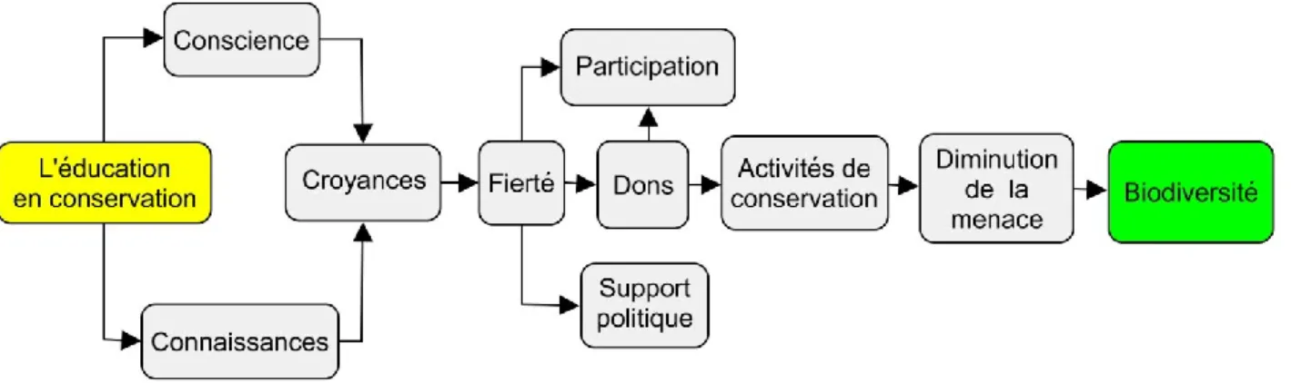 Figure 4.2 : Modèle logique « The Pride Campaign Model » (traduction libre de : RARE, s