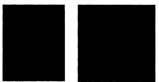 Figure  2.1  -   FRP straight and spiral bars