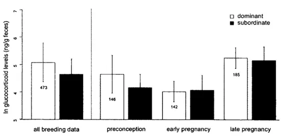 Figure  4.  Levels  o f fGC  in  subordinate  and  dominant meerkat  females  were  not  significantly  different  during  a  discrete  breeding  event  and  similarly  during  preconception  and  pregnancy  phases