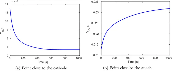 Figure 2.4 Time evolution of the Y Cu 2+ extrapolated from two different points.