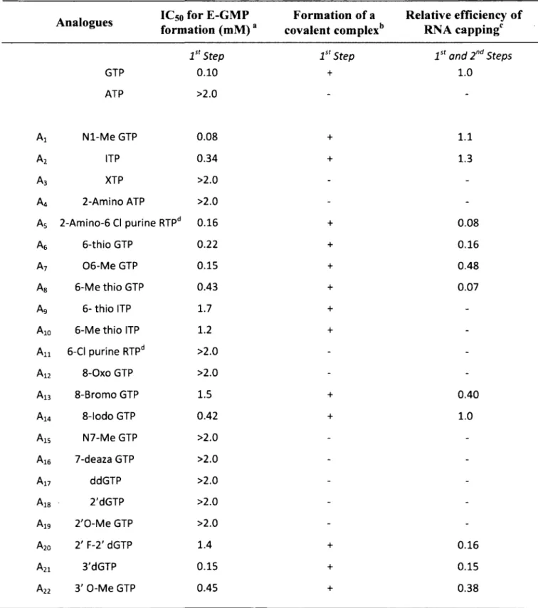 Table  1: RNA capping reaction with nucleotide  analogues  Analogues  IC50 for  E-GMP 