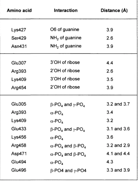 Table  1. Key interactions  between the active site  residues of  the  yeast  RNA triphosphatase  and  GTP  as  predicted  by  the  molecular docking model