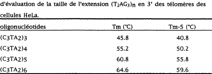 Tableau 4. Tm et Tm-S°C  des  oligonucléotides utilisés  dans  l'expérience  d'évaluation de la taille de l'extension (T2AG3)n  en 3' des  télomères des  cellules  HeLa