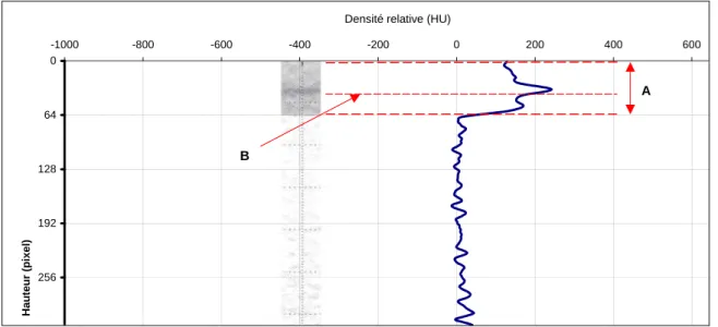 Fig. 3.5 – Profil de densité du canal : La section en A défini la trappe d’accès du canal  composé d’acrylique
