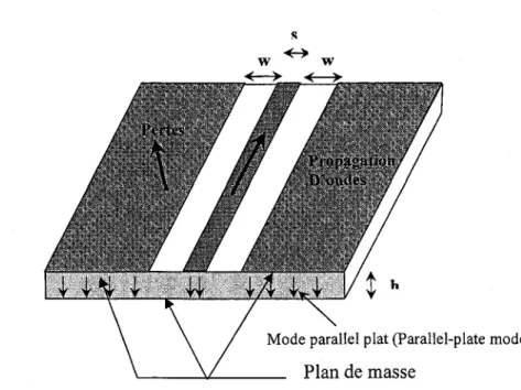 Fig. 6.2: Les ondes de fuite dans la ligne CB-CPW.