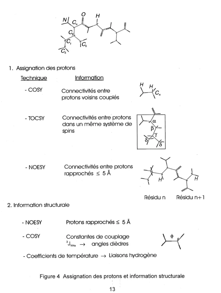 Figure 4 Assignation des protons et information structurale