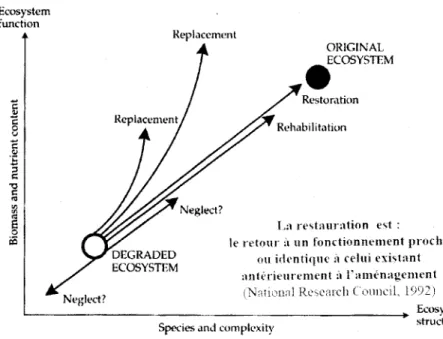 Figure  1 : lllustration  des processus  de restauration  et de réhabilitation  de rivières urbanisées  (Malavoi,  2001  )