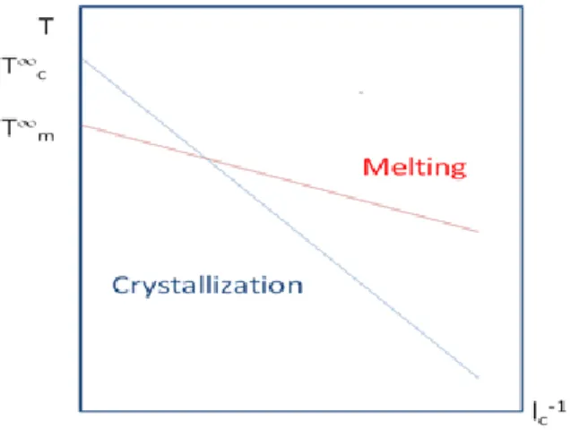 Figure 6. Variation of transition temperatures with respect to the inverse of crystal thickness for  the crystallization (blue) and melting line (red) 