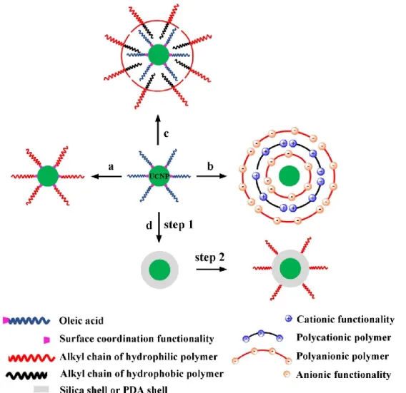 Figure 5.  Schematic  illustration  of  the  routes  for  post-modification  of  oleic  acid-coated  UCNP  with  hydrophilic  polymers:  (a)  ligand  exchange,  (b)  LbL  assembly,  (c)  ligand  attraction and (d) silica-shell or mussel inspired PDA coatin