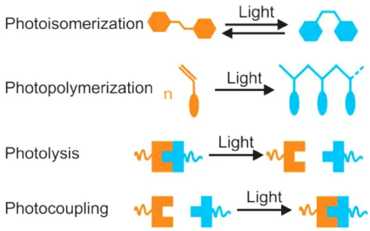 Figure 8. Four types of UCNP-assisted photoreactions. Reproduced with permission from  [118]
