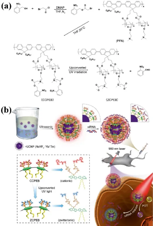 Figure  15.  (a)  Synthesis  route  of  designed  polyelectrolyte  and  its  photolytic  process
