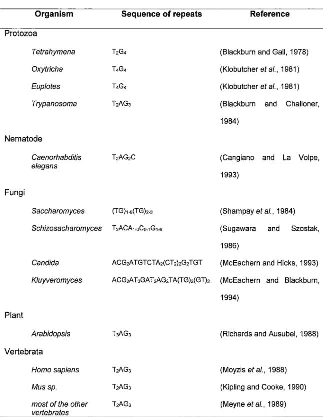 Table 1.  The  sequence of telomeric repeats  of the  strand  running  5'-3' towards  the end of the chromosomes