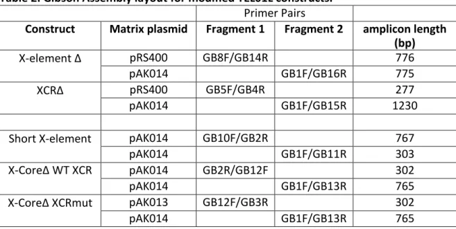 Table 2: Gibson Assembly layout for modified TEL01L constructs. 