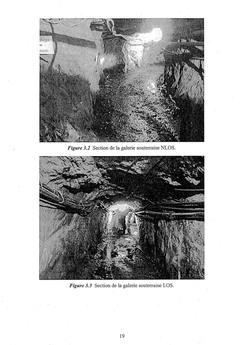 Figure 3.2 Section de la galerie souterraine NLOS.