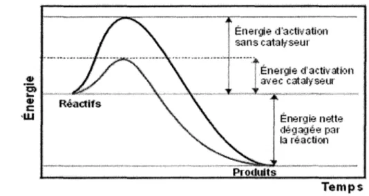 Figure  1.  Comparaison entre l'énergie d'activation d'une réaction  métabolique avec et sans catalyseur  (enzyme) (Biologie, Cégep Ste-Foy,  2004)