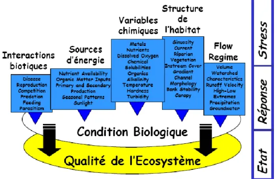 Figure  3.2  Types  de  stress  affectant  l’intégrité  écosystémique.  Tirée  d’Archaimbault,  2009a, p.3